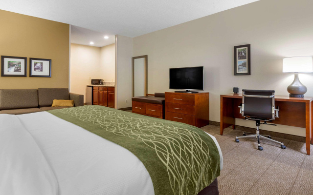 Comfort Inn & Suites Lenoir Hwy 321 Northern Foothills