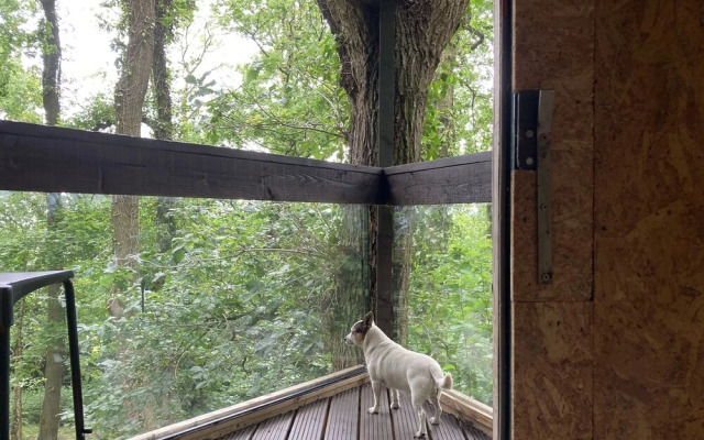 Unique off Grid Tree-house Stay in oak Woodland
