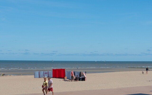 Ster Der Zee On Sea Shore