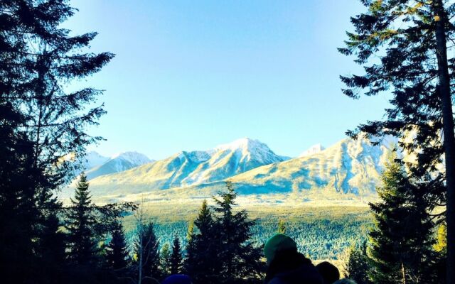 Mountain View Cabins