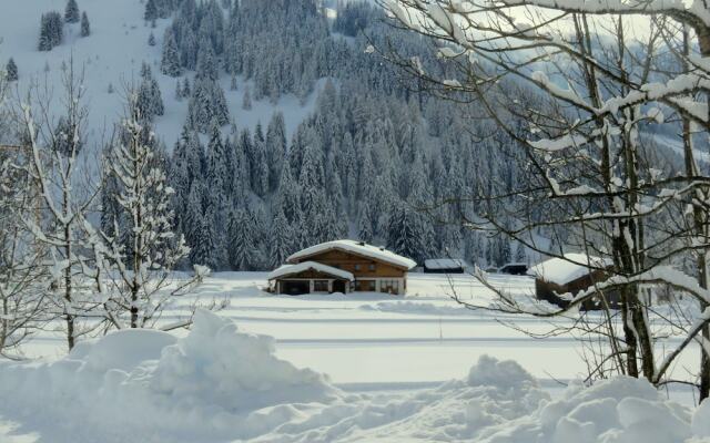 Charming Chalet in Hinterthal With Sauna