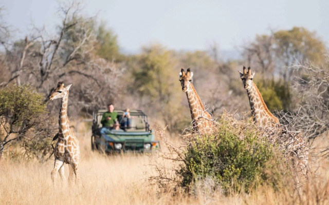 Mziki Safari Lodge