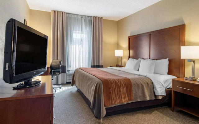 Comfort Inn & Suites Suwanee - Sugarloaf
