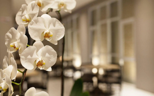 OYO Flagship 90726 The Regia Cihampelas Hotel Band