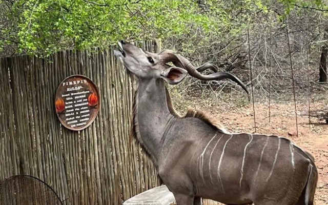 Ukweza Guest House