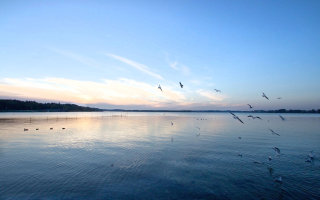 Maremüritz Yachthafen Resort