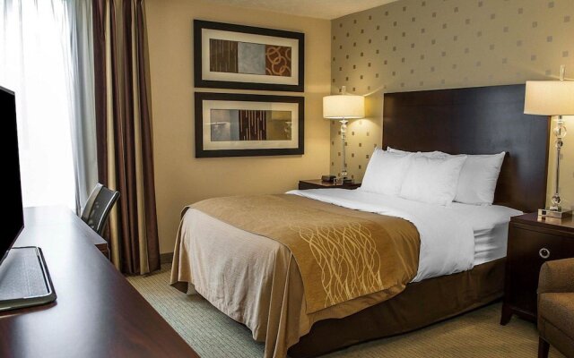 Comfort Inn
