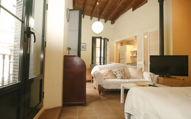 Deluxe apartment los balcones