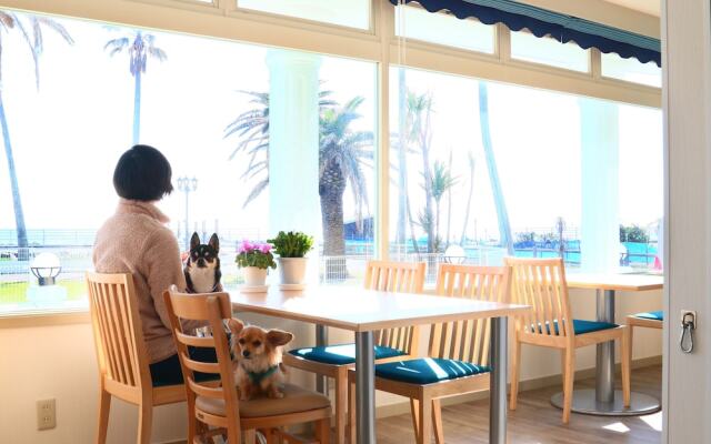 Marine Blue where you can stay with dogs