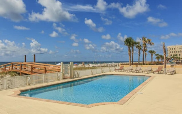 Summer Salt by Youngs Suncoast