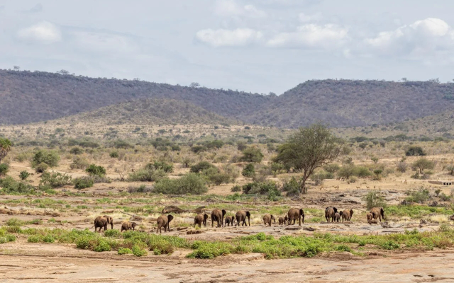 Sentrim Tsavo Lodge