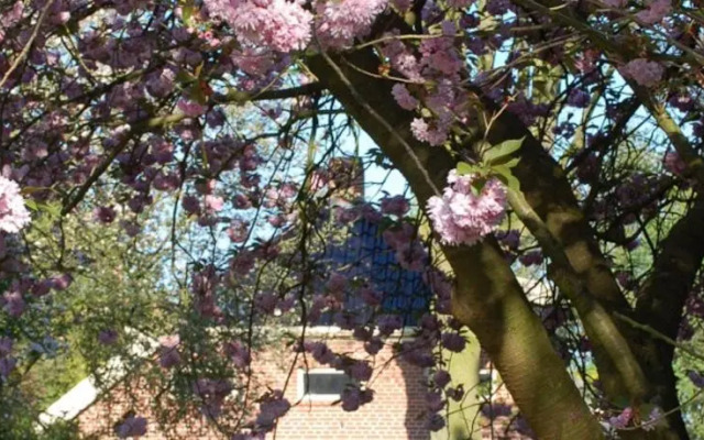 Bed and Breakfast De Baron