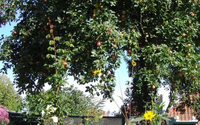 Dorpslogement De Oude Bakkerij