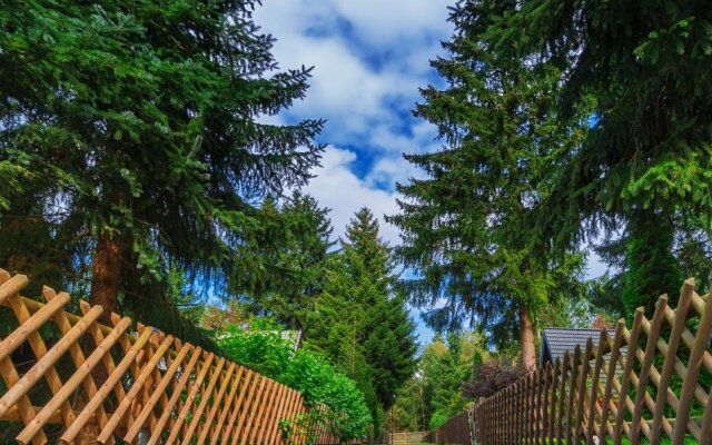 Waldsee Feriendienst