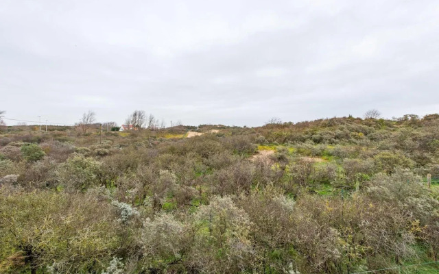 Renovated Hortensia Villa Next to the Dunes