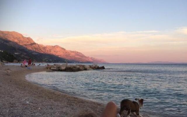 Hostel Dalmatia