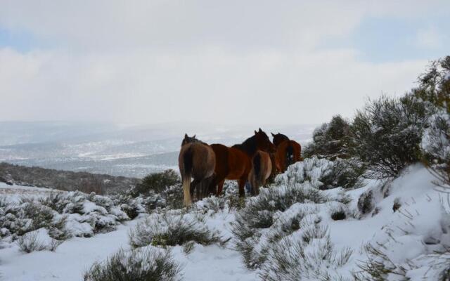Apartamento Almanzor