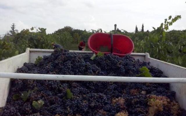 Agriturismo La Querce