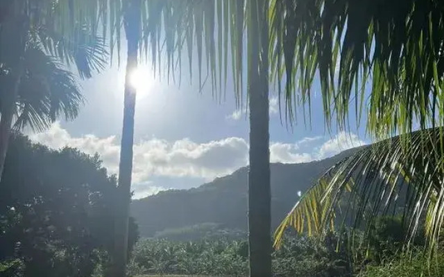 GAR'S Cat Nest Homestay