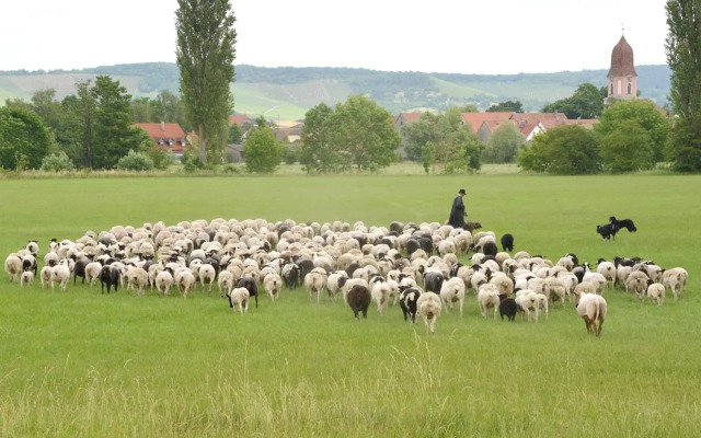 Ferienwohnungen Schuh