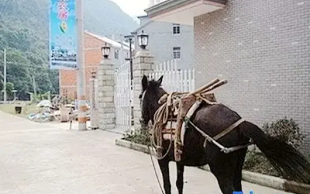 Shuanglin Bozai Farmer House No.5 Villa