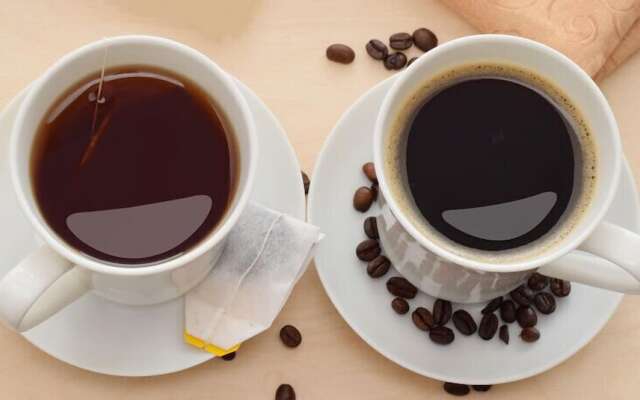 Tim's Seaside Hideout Resort