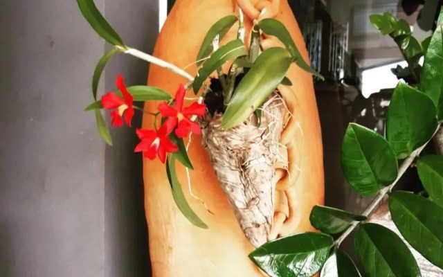 WR Confort Hotel Campo Grande