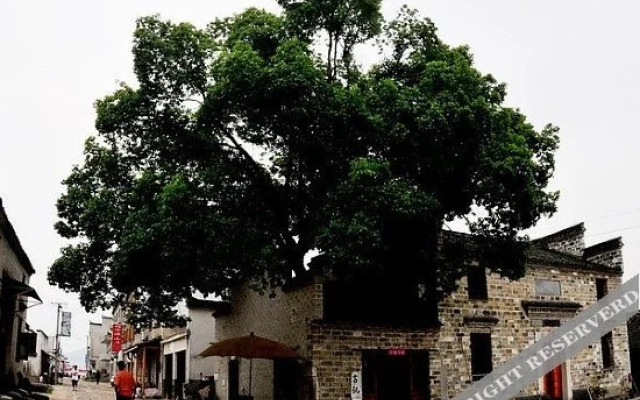 Zhaji Xiangzhashu Inn