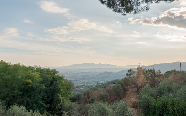 Ottopini 8 in Montecatini Terme