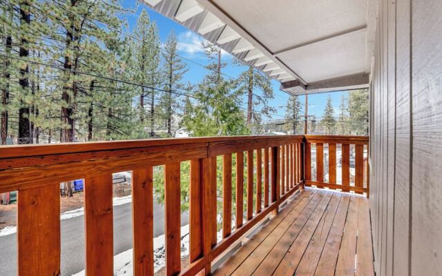 Beary FUN Escape #1445