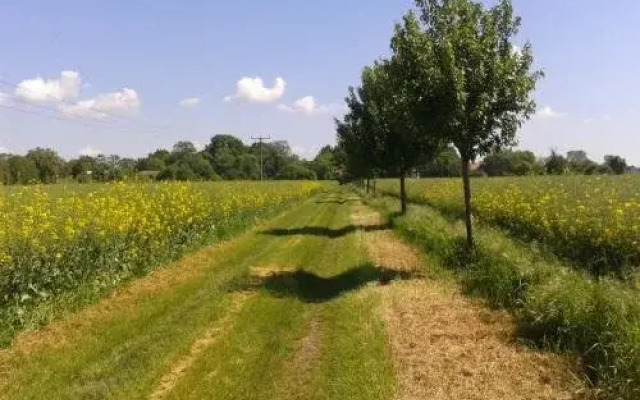 Landpension Oderbruch