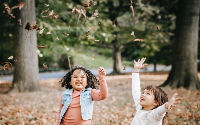 Treeloft Adventure in Nature for 4 People 13