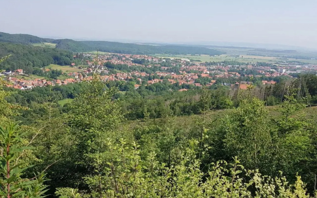 Holiday Home in the Large Garden