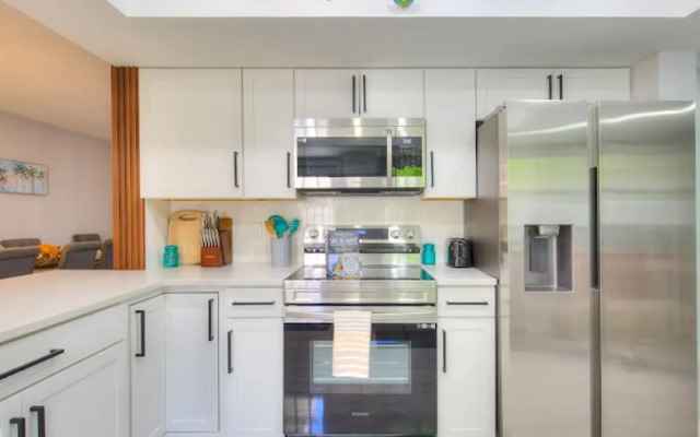 The Mermaid and the Sea Turtle