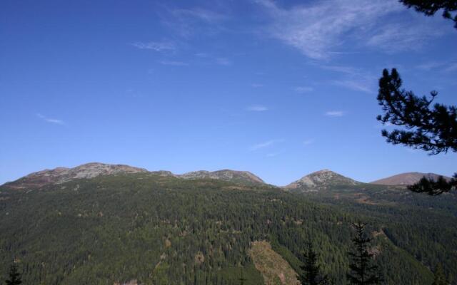 Ski- & Wanderhotel Berghof
