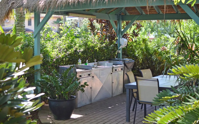 Tropical Oasis near Beach