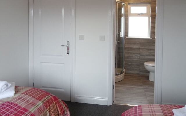 Lilys Pad