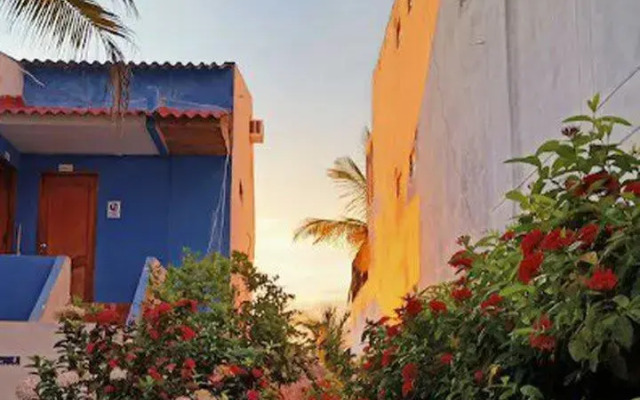 Cabañas 024
