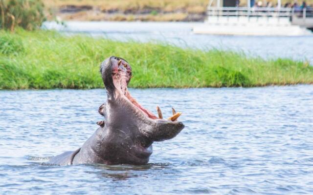 Chobe Safari Lodge