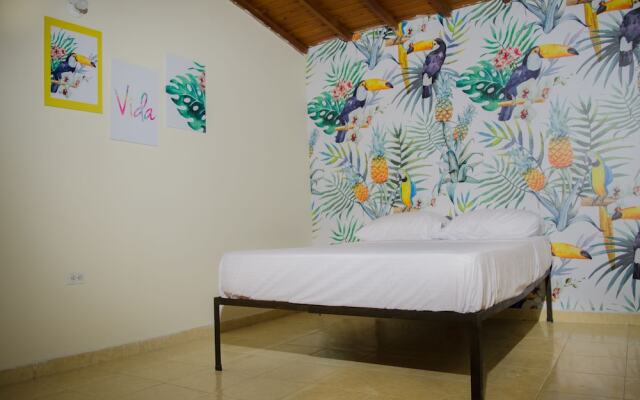 Hostal Pura Vida La 70