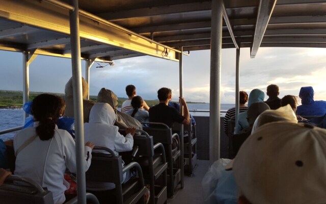 The Panda House 3 Bedroom Cabin