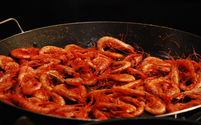 Rosa dels Vents