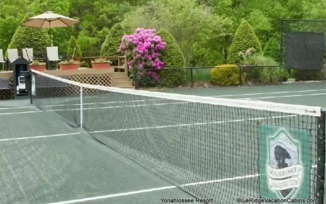 Stewart's Path Apartment