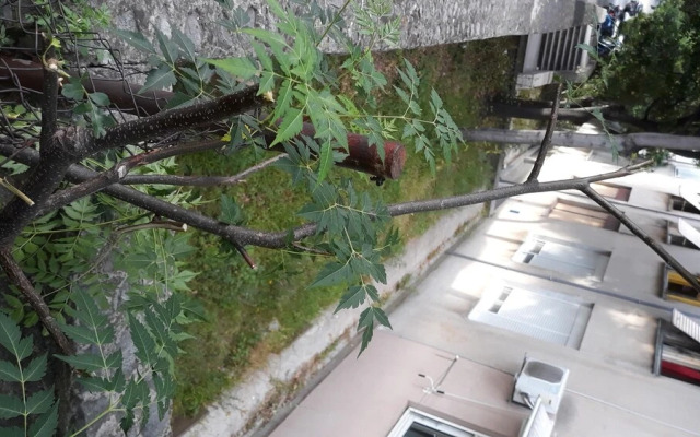 Apartment Marino