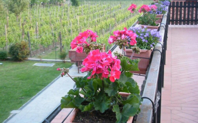 Agriturismo Grillo Iole