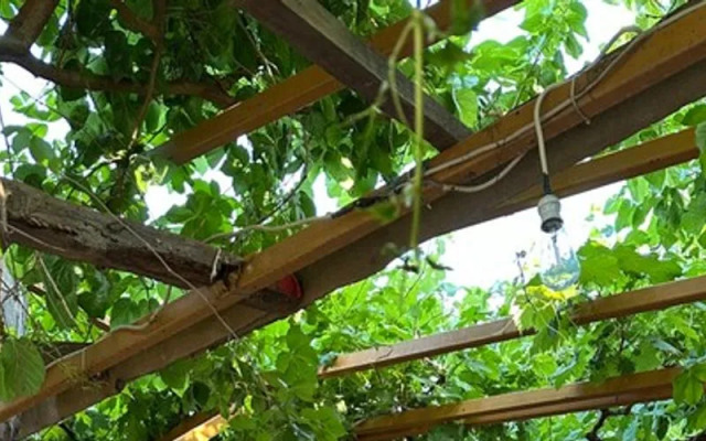 Natural Pansiyon