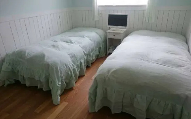 Pention Castile With A Cat