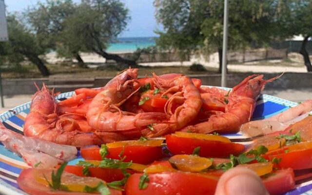 Beach-front boutique apartment Lido 113