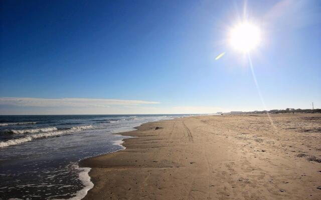 Spring Showers SS523G