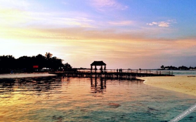 Coral Heaven Maldives